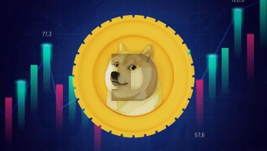 Doge Coin price to double in November